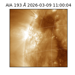 saia - 2026-03-09T11:00:04.840000