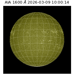 saia - 2026-03-09T10:00:14.120000
