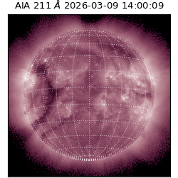 saia - 2026-03-09T14:00:09.620000