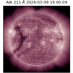 saia - 2026-03-09T19:00:09.620000