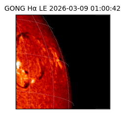 gong - 2026-03-09T01:00:42