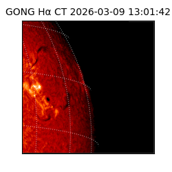 gong - 2026-03-09T13:01:42