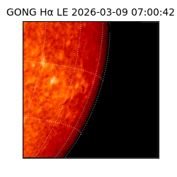 gong - 2026-03-09T07:00:42