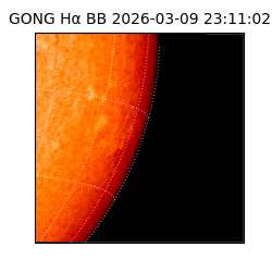 gong - 2026-03-09T23:11:02