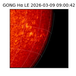 gong - 2026-03-09T09:00:42