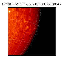 gong - 2026-03-09T22:00:42