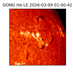 gong - 2026-03-09T01:00:42