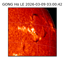 gong - 2026-03-09T03:00:42