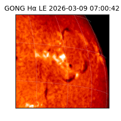 gong - 2026-03-09T07:00:42