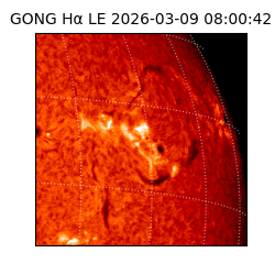 gong - 2026-03-09T08:00:42