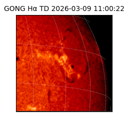 gong - 2026-03-09T11:00:22