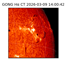 gong - 2026-03-09T14:00:42