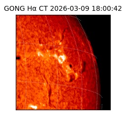 gong - 2026-03-09T18:00:42