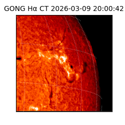 gong - 2026-03-09T20:00:42