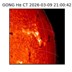 gong - 2026-03-09T21:00:42