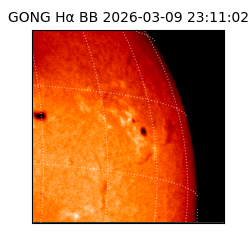 gong - 2026-03-09T23:11:02