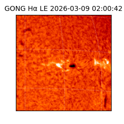 gong - 2026-03-09T02:00:42