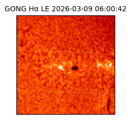 gong - 2026-03-09T06:00:42