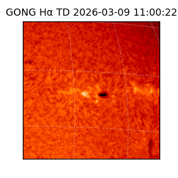 gong - 2026-03-09T11:00:22