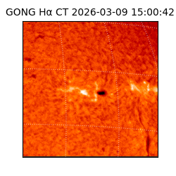 gong - 2026-03-09T15:00:42