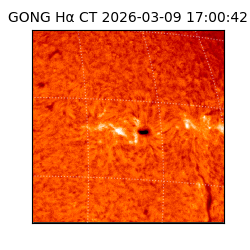 gong - 2026-03-09T17:00:42