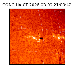 gong - 2026-03-09T21:00:42