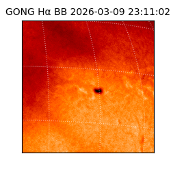 gong - 2026-03-09T23:11:02