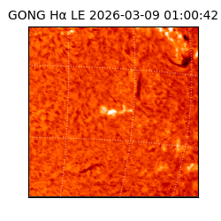 gong - 2026-03-09T01:00:42