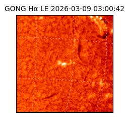 gong - 2026-03-09T03:00:42