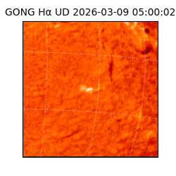 gong - 2026-03-09T05:00:02