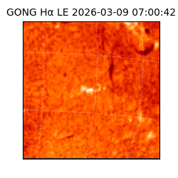 gong - 2026-03-09T07:00:42