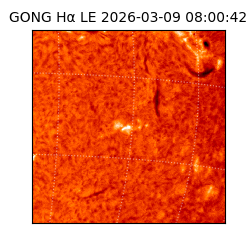 gong - 2026-03-09T08:00:42