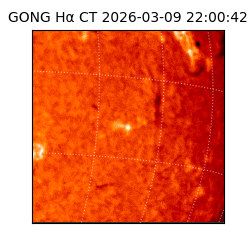 gong - 2026-03-09T22:00:42