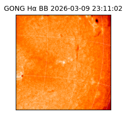 gong - 2026-03-09T23:11:02