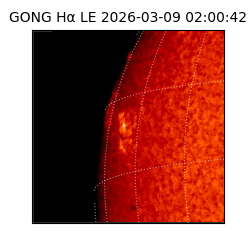 gong - 2026-03-09T02:00:42