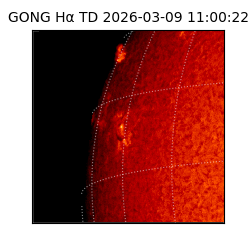 gong - 2026-03-09T11:00:22