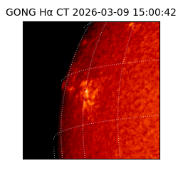 gong - 2026-03-09T15:00:42