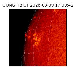 gong - 2026-03-09T17:00:42