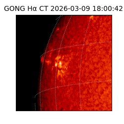 gong - 2026-03-09T18:00:42