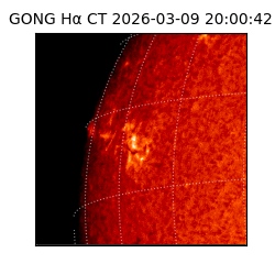 gong - 2026-03-09T20:00:42