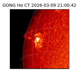 gong - 2026-03-09T21:00:42