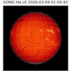 gong - 2026-03-09T01:00:42