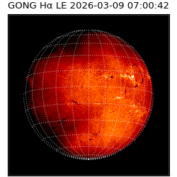 gong - 2026-03-09T07:00:42