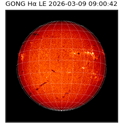 gong - 2026-03-09T09:00:42