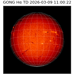 gong - 2026-03-09T11:00:22