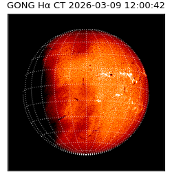 gong - 2026-03-09T12:00:42