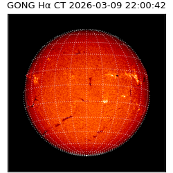 gong - 2026-03-09T22:00:42