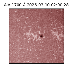 saia - 2026-03-10T02:00:28.446000