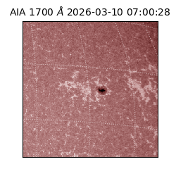 saia - 2026-03-10T07:00:28.456000