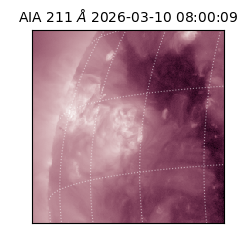 saia - 2026-03-10T08:00:09.632000